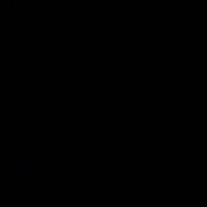 Meet your Posher, Carson